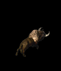 1700669435548717.gif